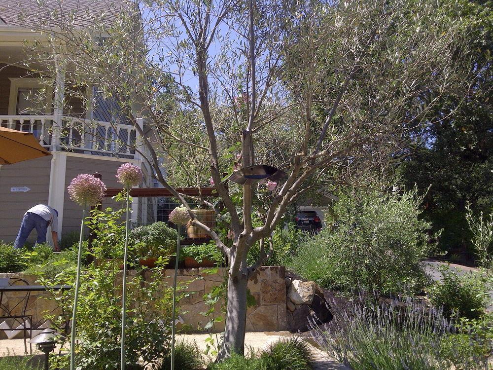 The Chanric Inn Calistoga Exterior foto